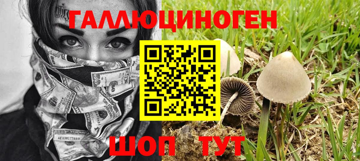 Псилоцибиновые грибы GOLDEN TEACHER Сарапул